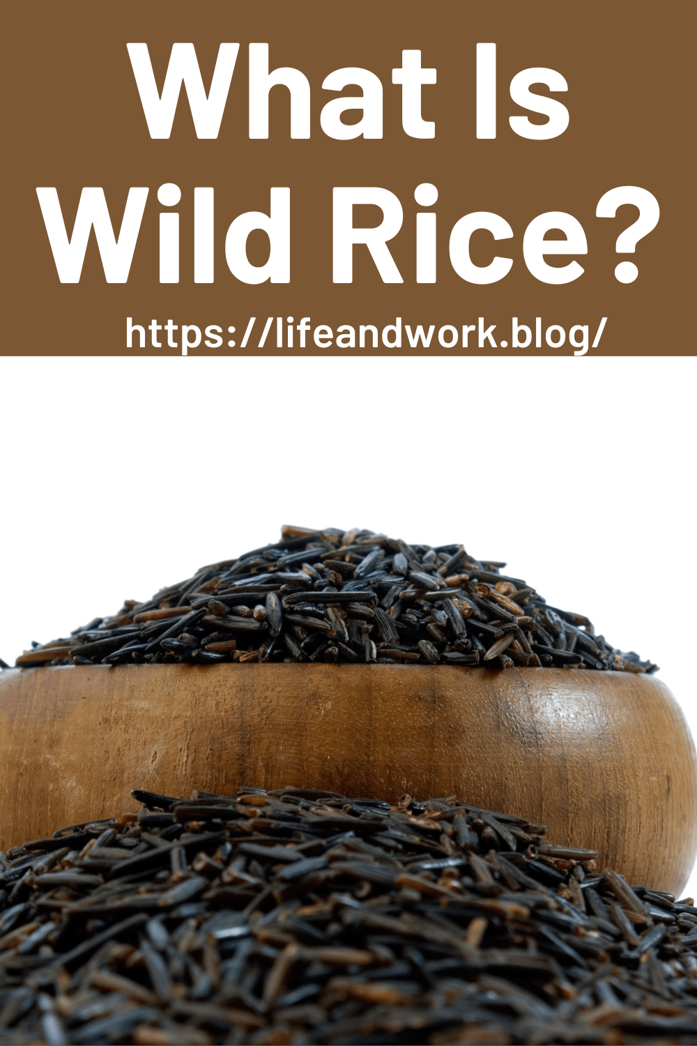 What Is Wild Rice