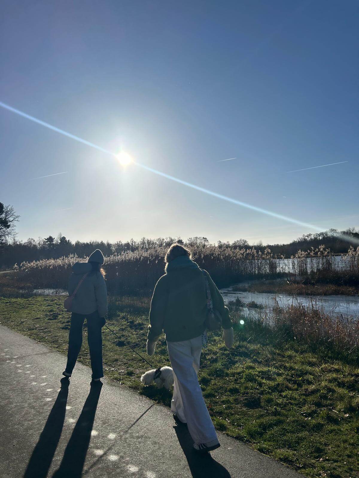 Walking trail through Bokrijk near Hasselt, Belgium