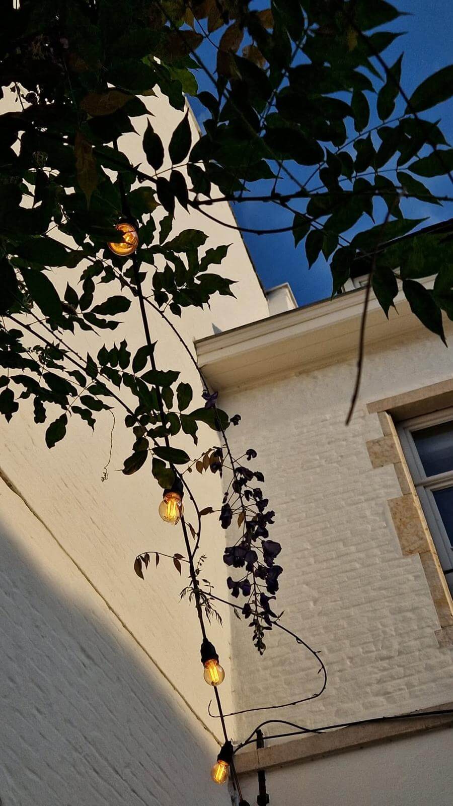 String lights on a cosy terrace in Leuven, Belgium