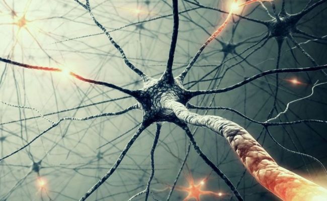 Understanding And Coding Neural Networks From Scratch In Python And R ...