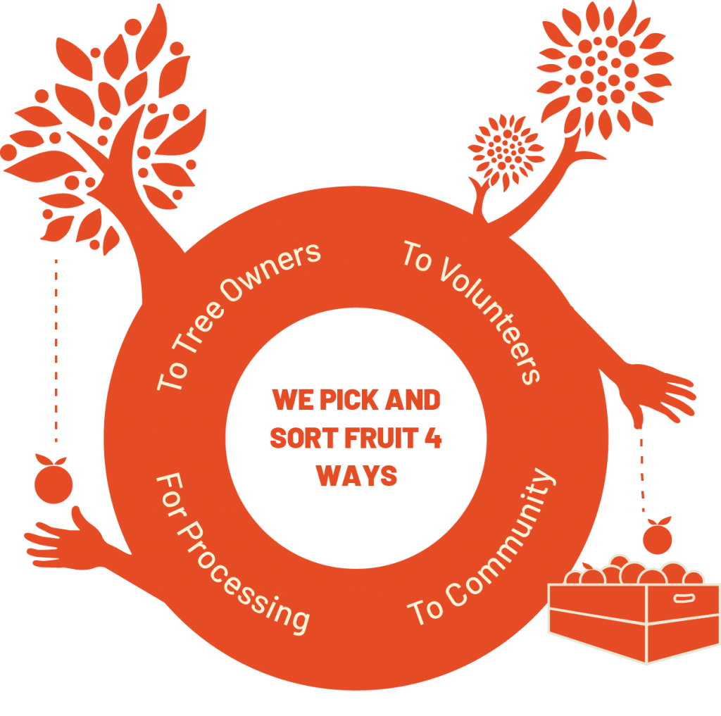 Device connection tree illustration, technology impact wall decal technology tree information and communications technology, technology, computer network, . Fruit Tree Project Lifecycles Project Victoria Bc