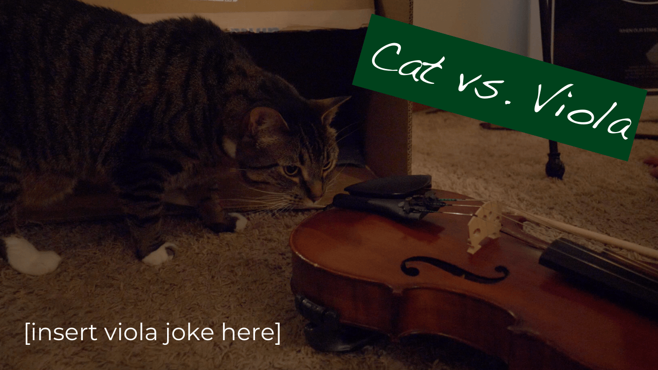 Introducing my New Cat to my Viola