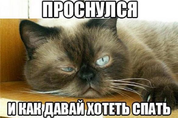 фишки дня, мем дня