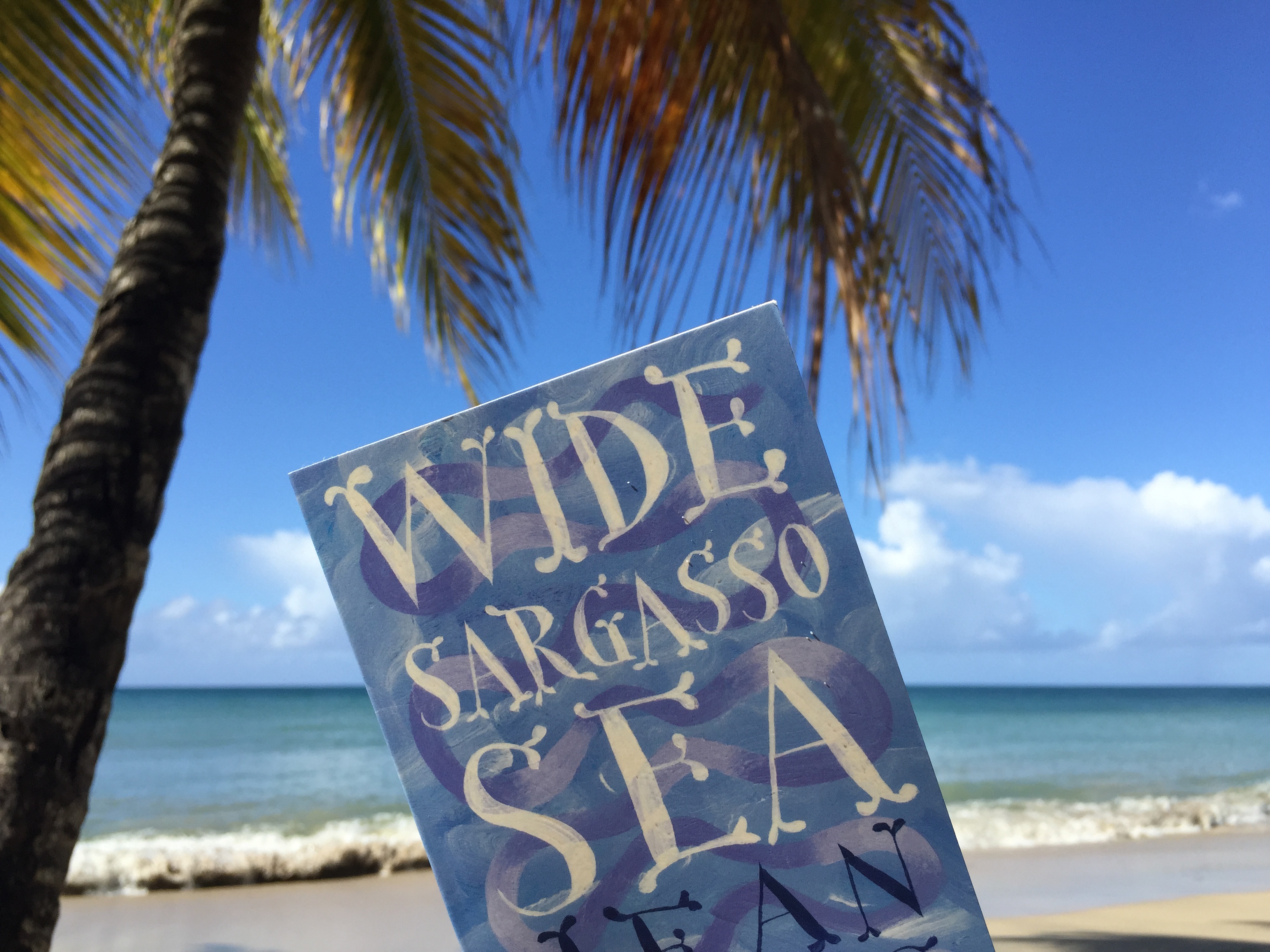 Wide Sargasso Sea