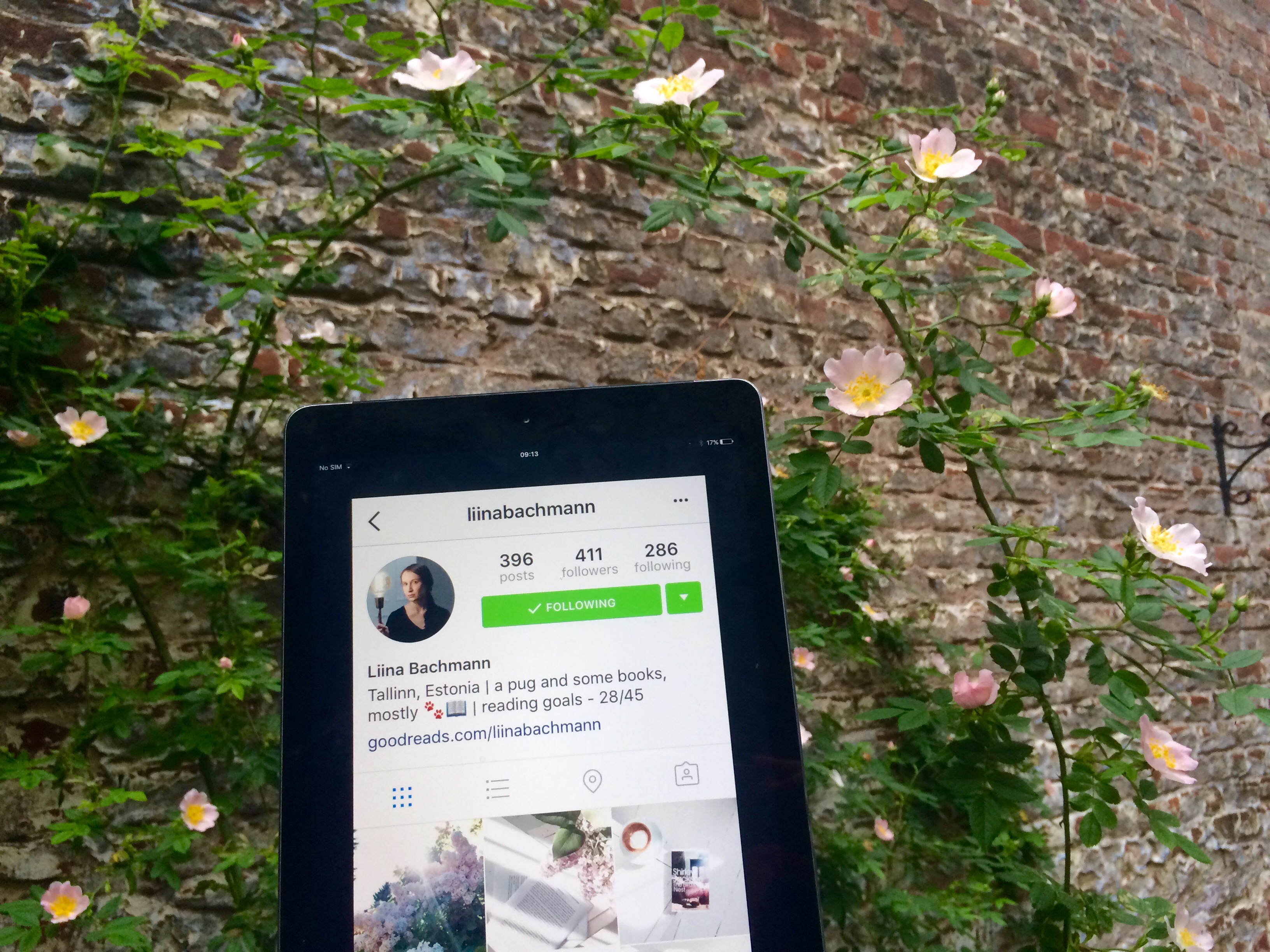 On the Uses of Bookstagram (and Six People to Follow)