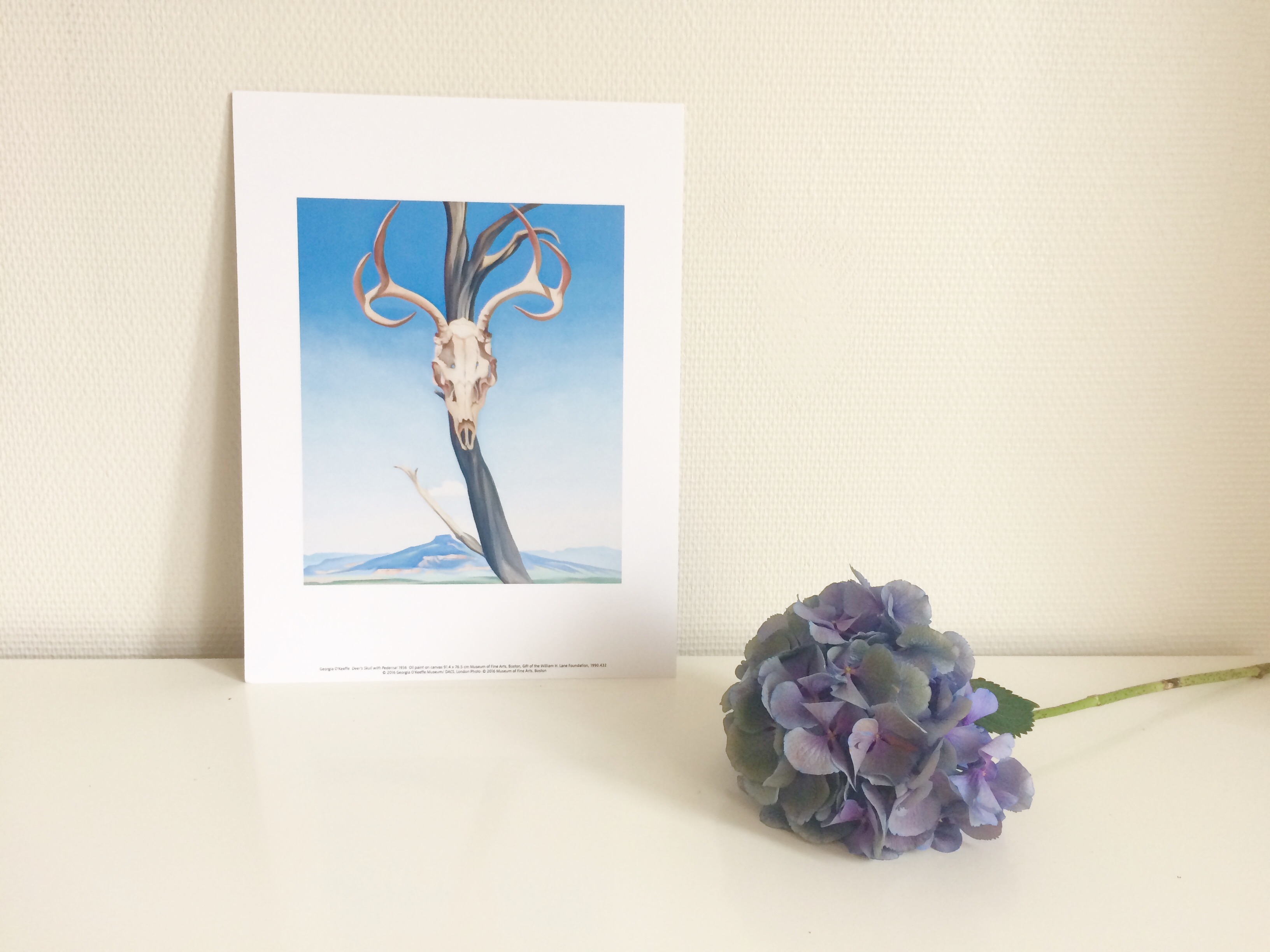 Georgia O’Keeffe at Tate Modern: Bones over Flowers