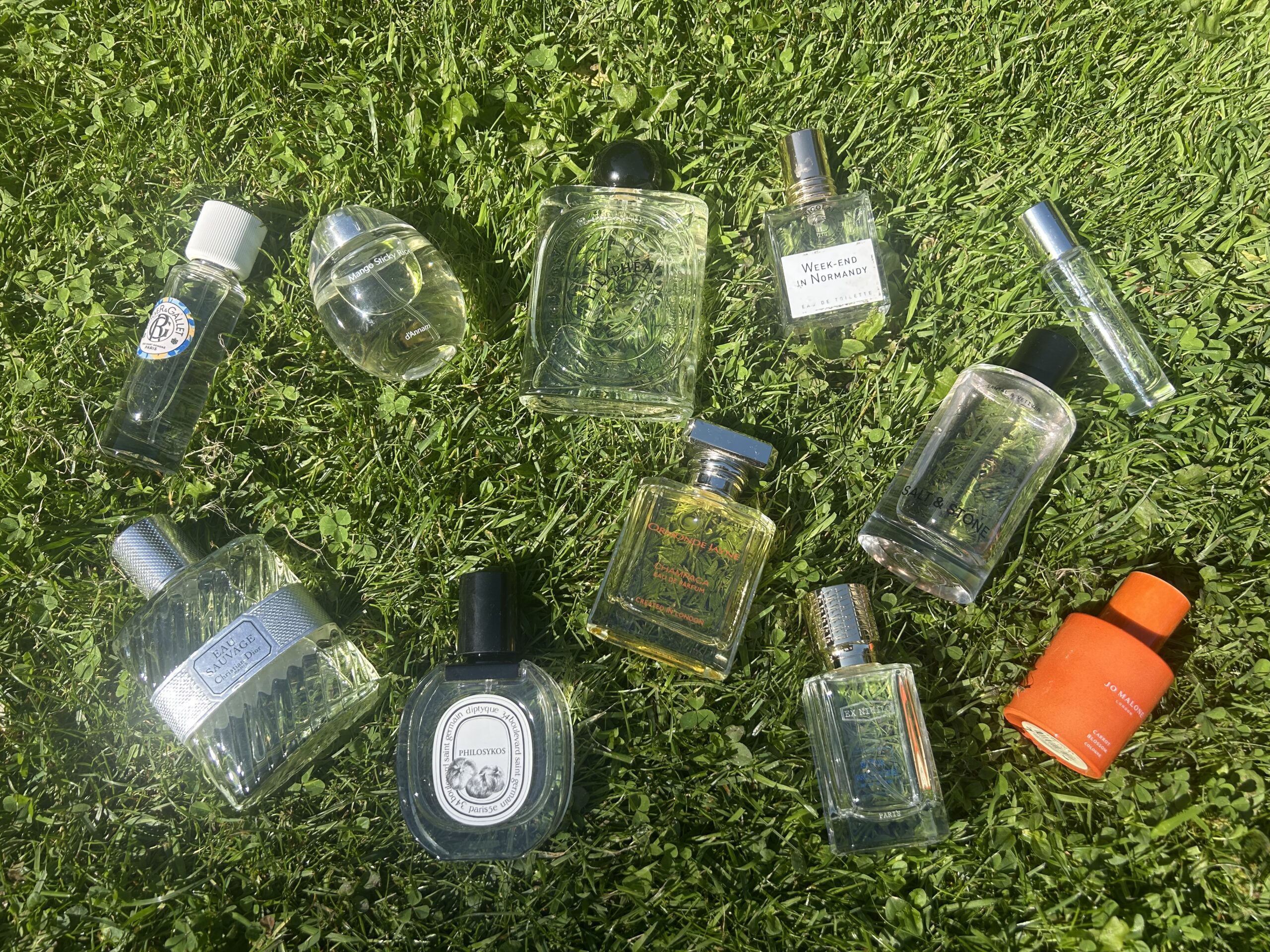 The Scents of This (2026) Summer