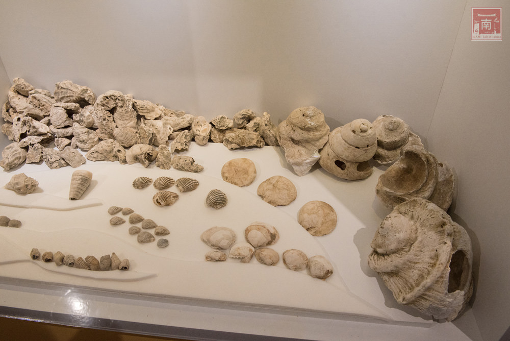 【台南新市】台南5000年史前文化｜考古第一隻寵物狗｜兒童體驗館｜4D版本海洋劇場~國立臺灣史前文化博物館南科考古館