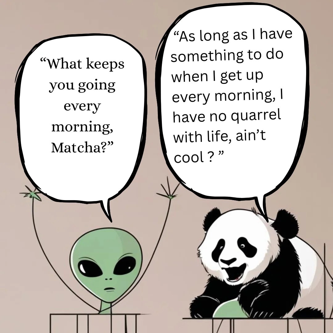 Have no quarrel with life !!!