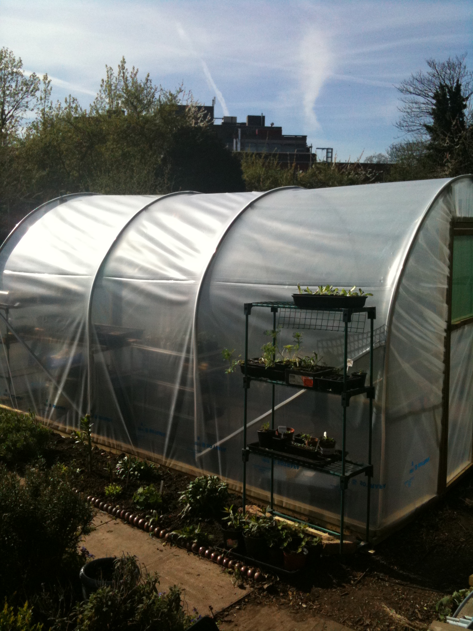 A proper polytunnel