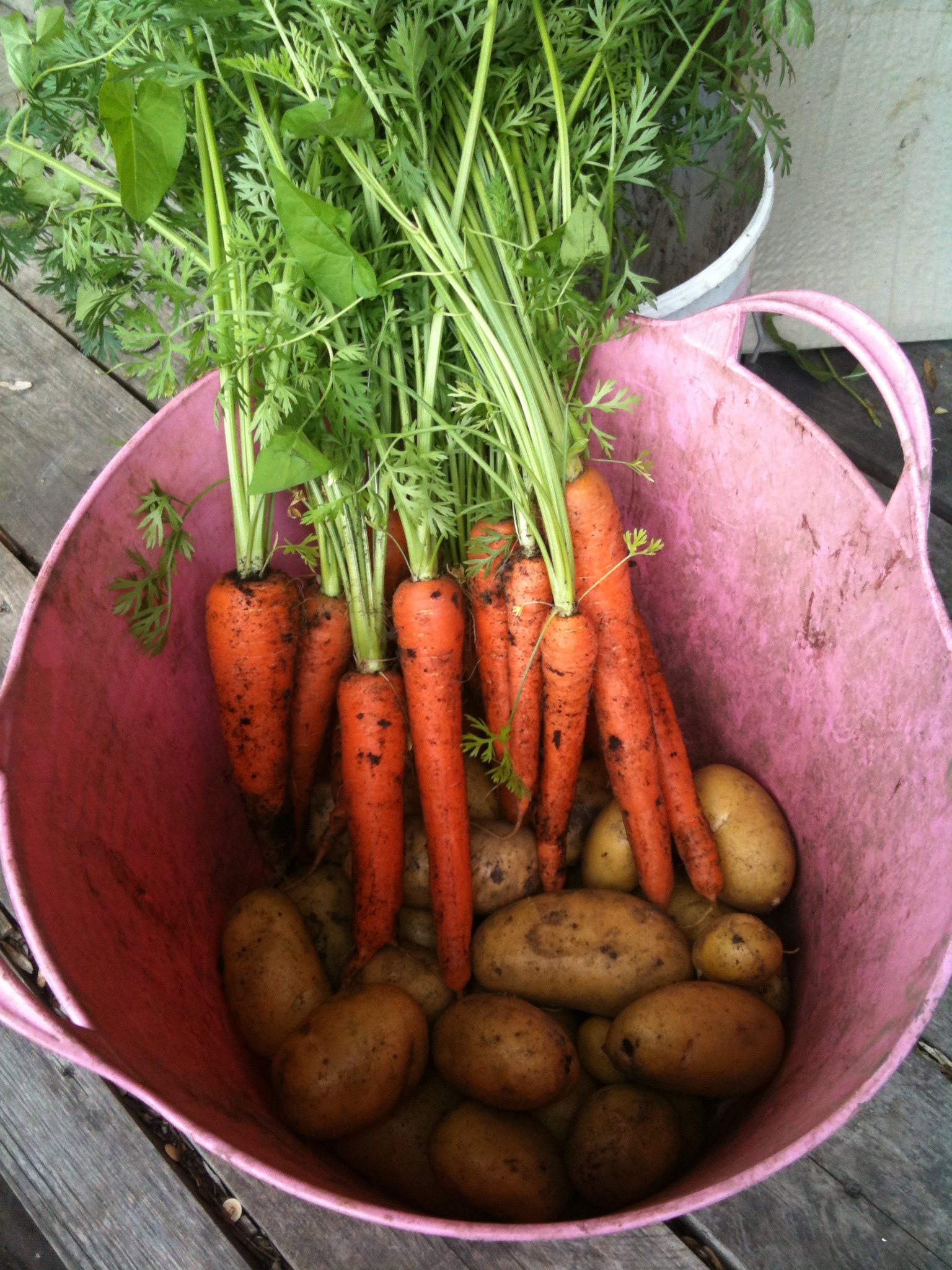 Waitrose wanted these, but I said no...