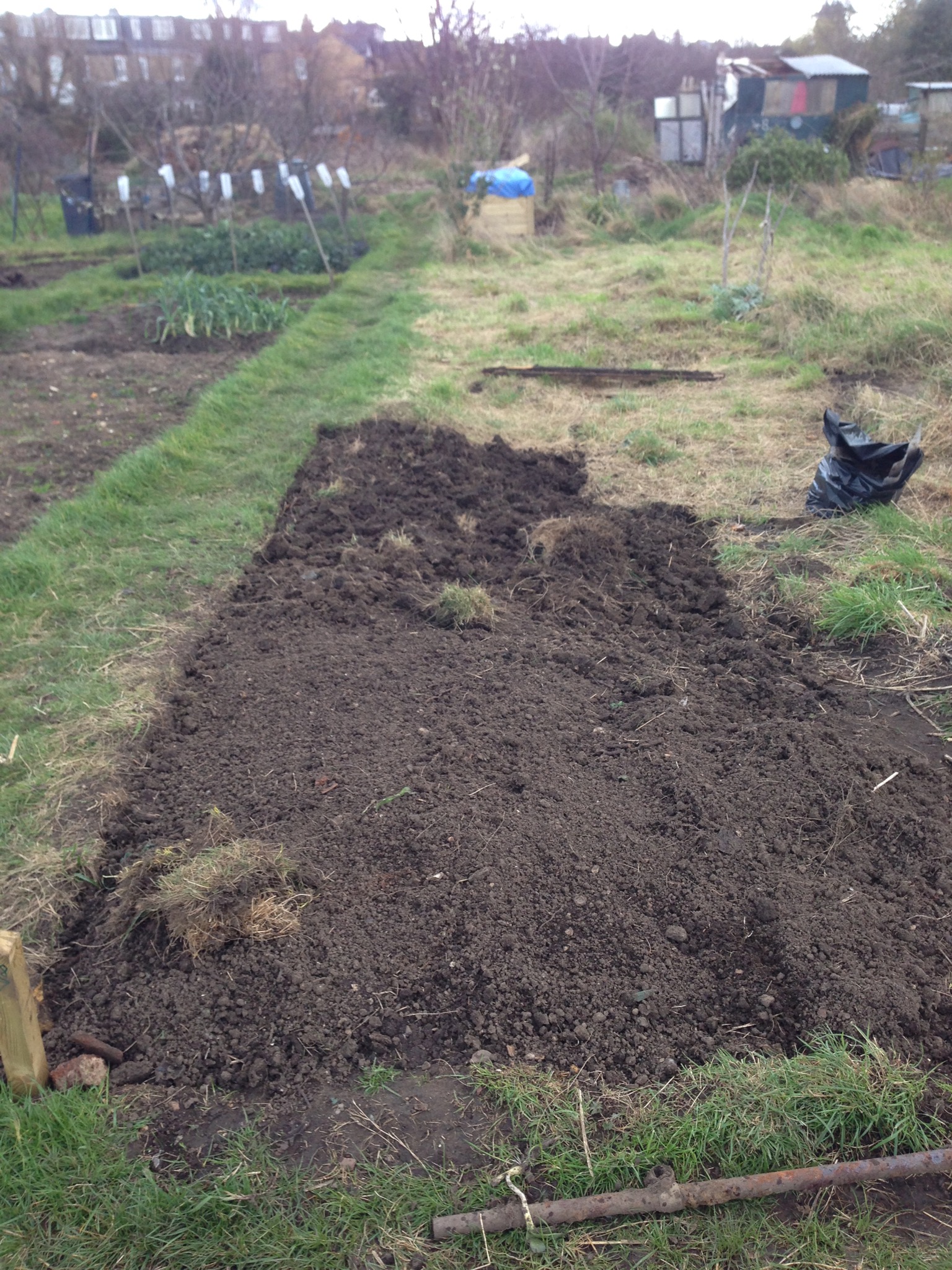 I got this far before deciding I needed some mechanical assistance. And a line to keep the path straight.