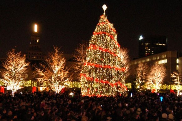 toronto-christmas-tree