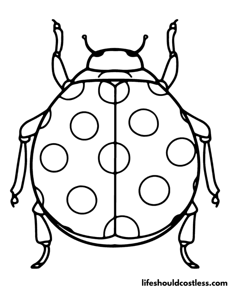 Insect coloring pages (free pdf prints)