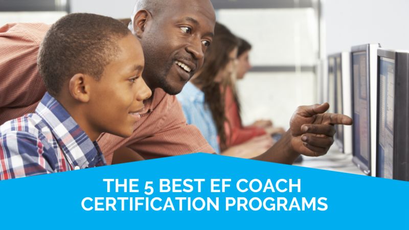 Certified Executive Function Coach Training Program Life Skills - Professional Nature Pattern - 8K