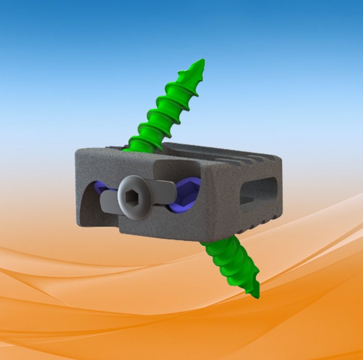 PRO-LINK® Ti Clearance - Life Spine