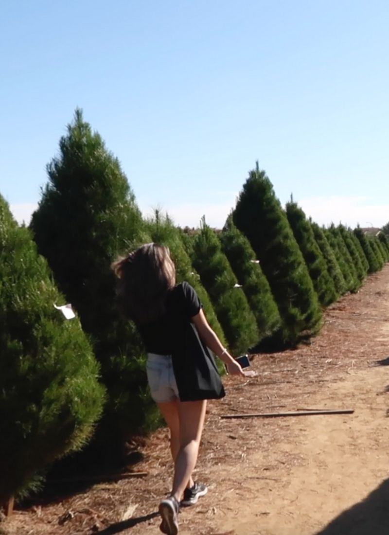 Vlogmas 2021 – December YouTube Videos