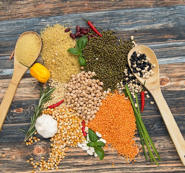 protein food for weight loss