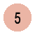 step 5 adoption process