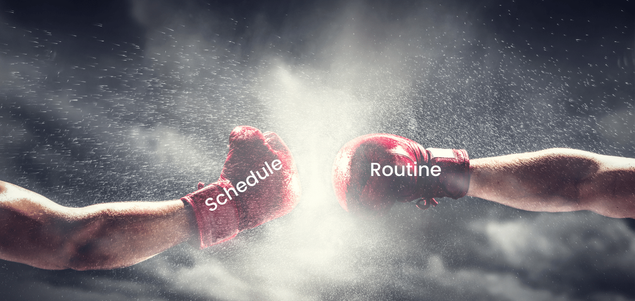 schedule vs routine