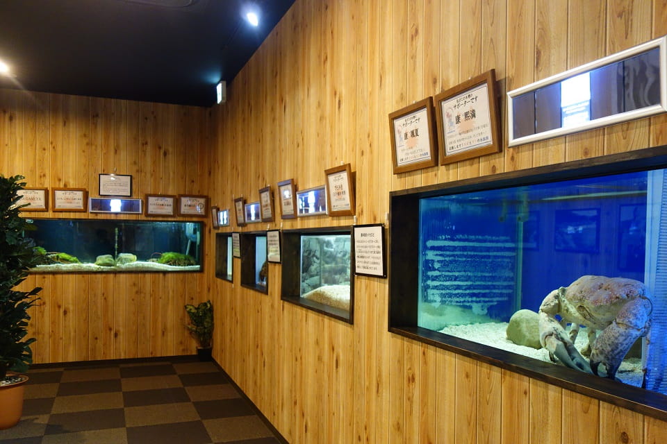 近畿地方の水族館一覧！