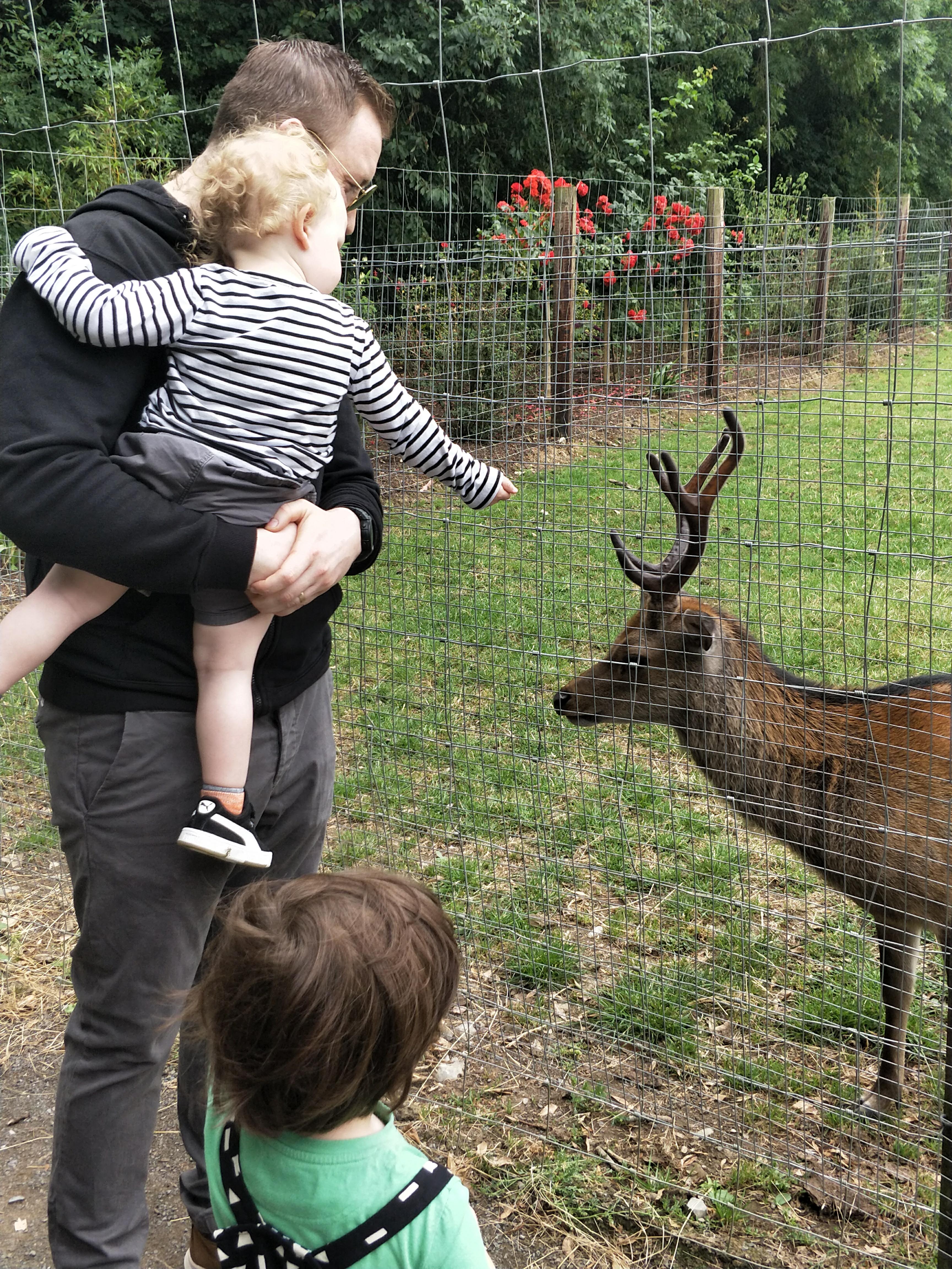 Clonfert Pet Farm