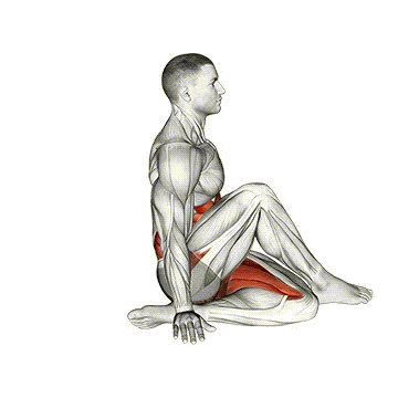 Ardha matsyendrasana yoga pose