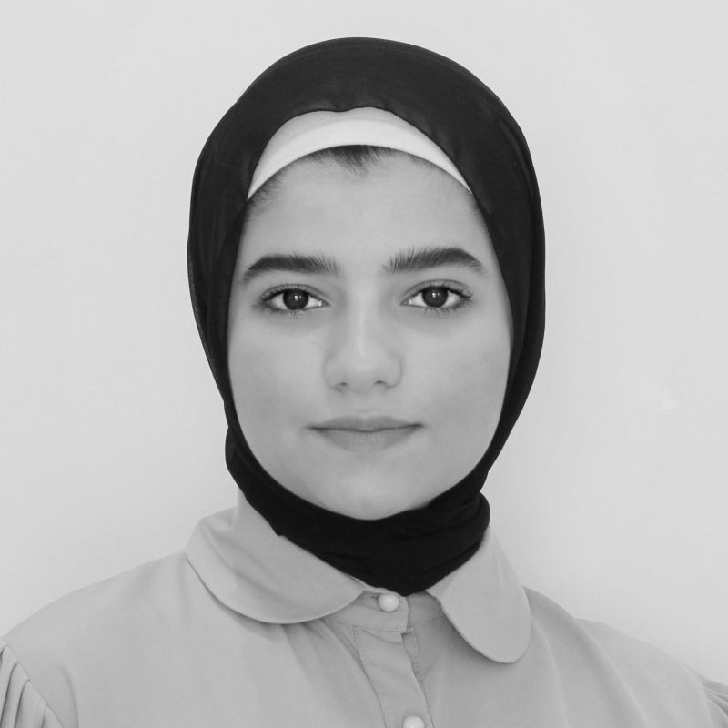 Ligadata - Nature Illustration Collection - Mobile Quality