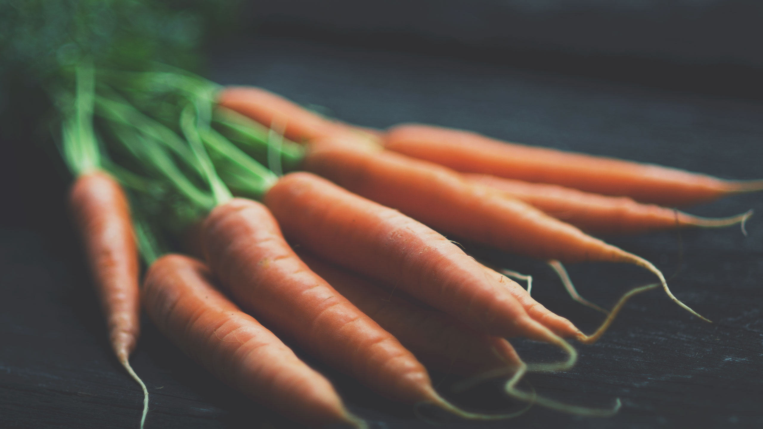 A bunch of fresh, unwashed carrots with vibrant green tops rests on a dark surface. The carrots are arranged with their tapered, pointed ends facing outward, highlighting their bright orange color and natural, rustic appearance.