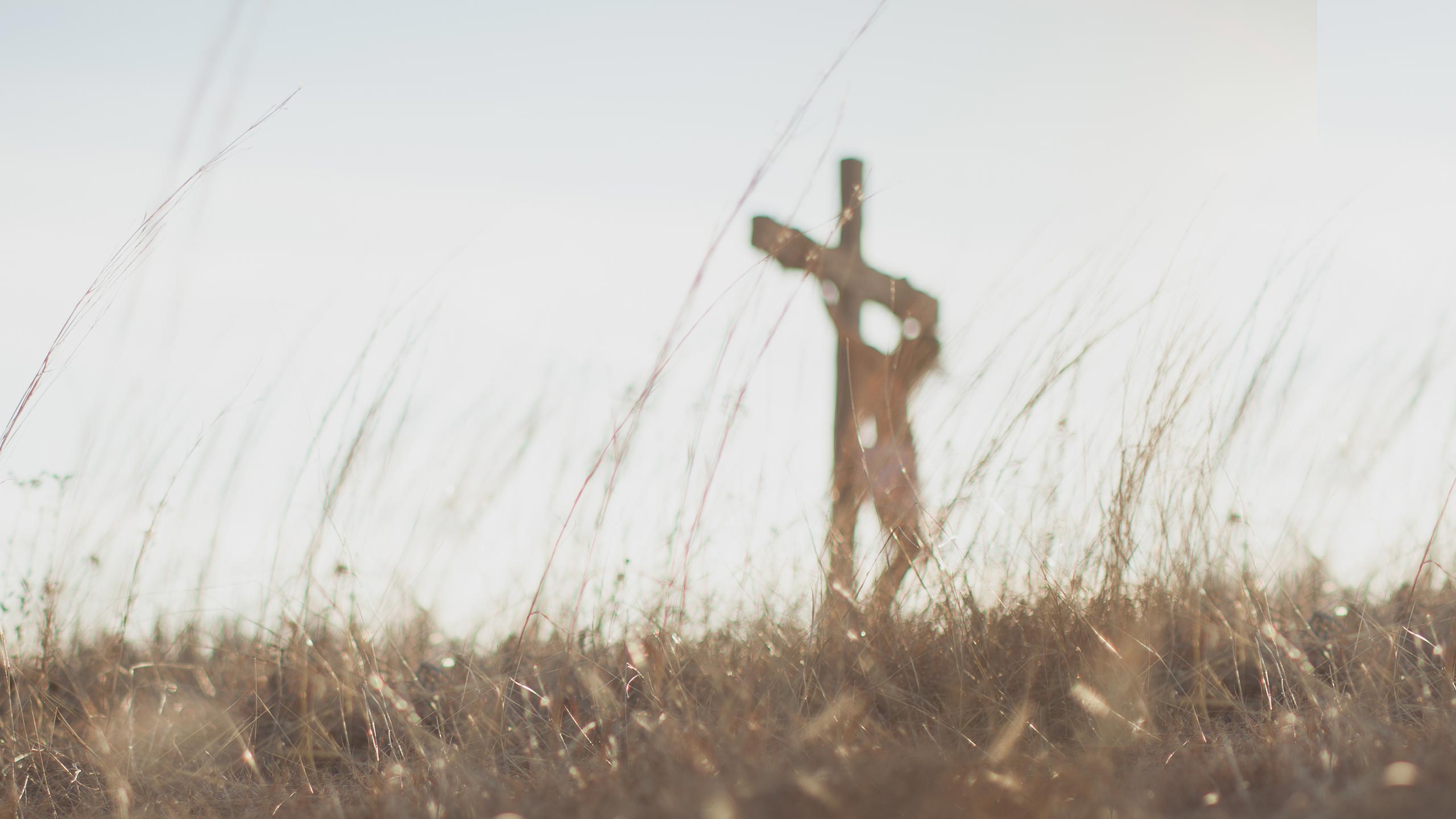 A wooden cross stands prominently in a field of tall, dry grass, bathed in soft sunlight against a clear sky. The grass sways gently in the breeze, creating a serene and contemplative atmosphere.