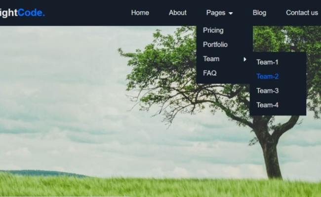 How To Make Drop Down Menu Using HTML And CSS - Light Code
