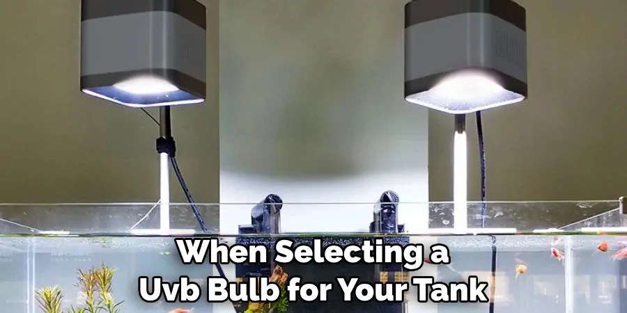 Photo inspiration: How To Provide Effective Uvb Light Reference: How To Hang Uvb Light In Tank