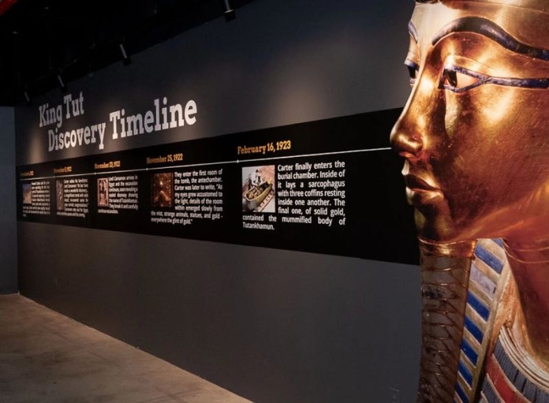 Contact Lighthouse Immersive - Incredible High Resolution City Illustrations | Free Download