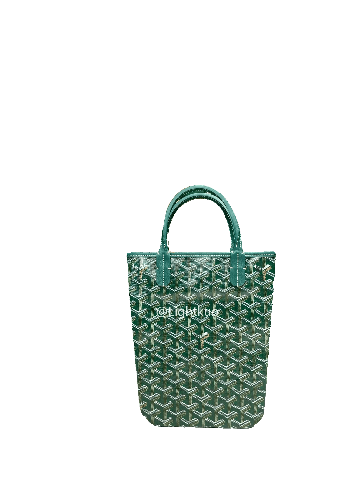 Goyard Poitiers Bag Green