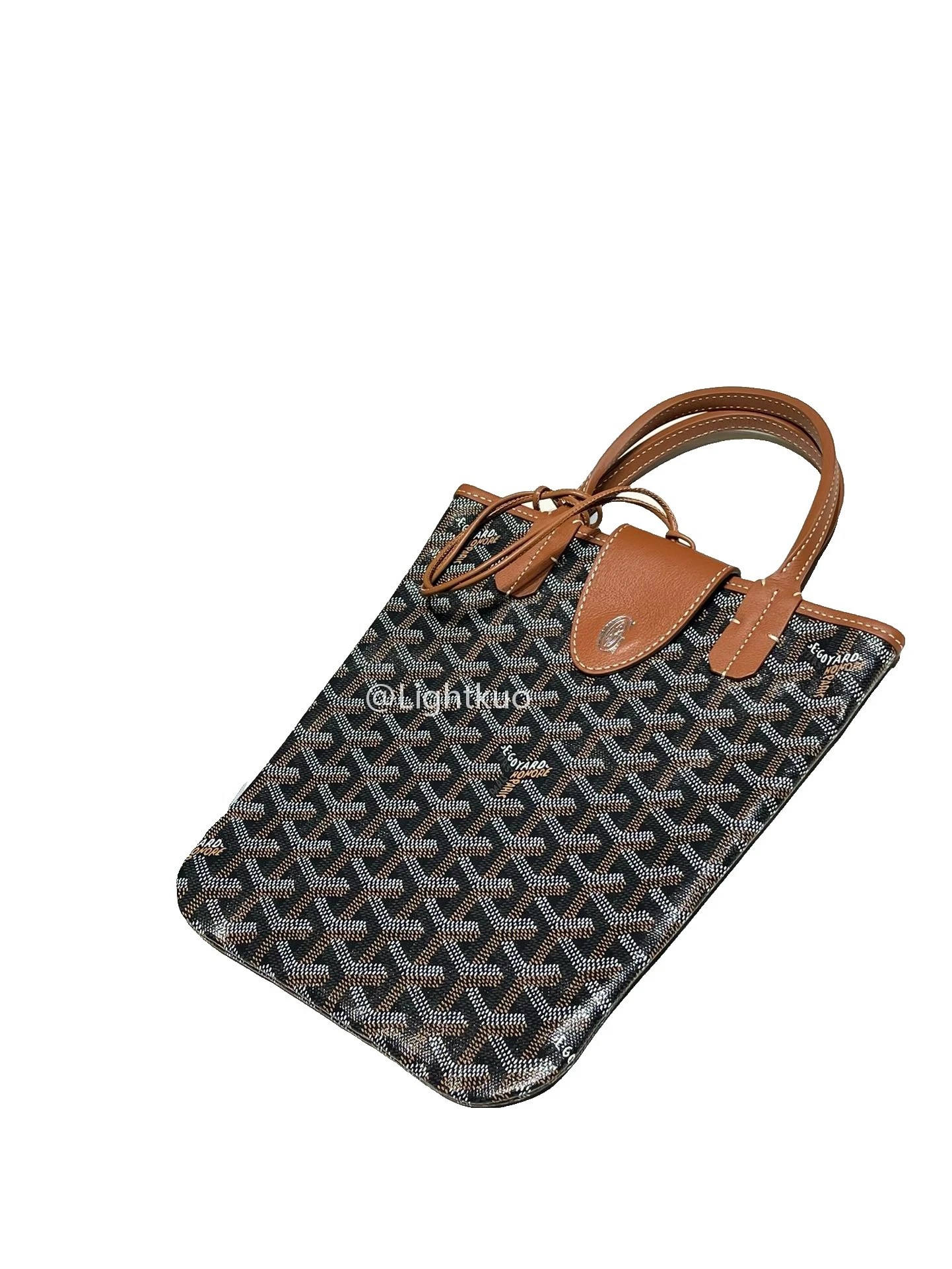 Goyard Poitiers Bag Black & Tan