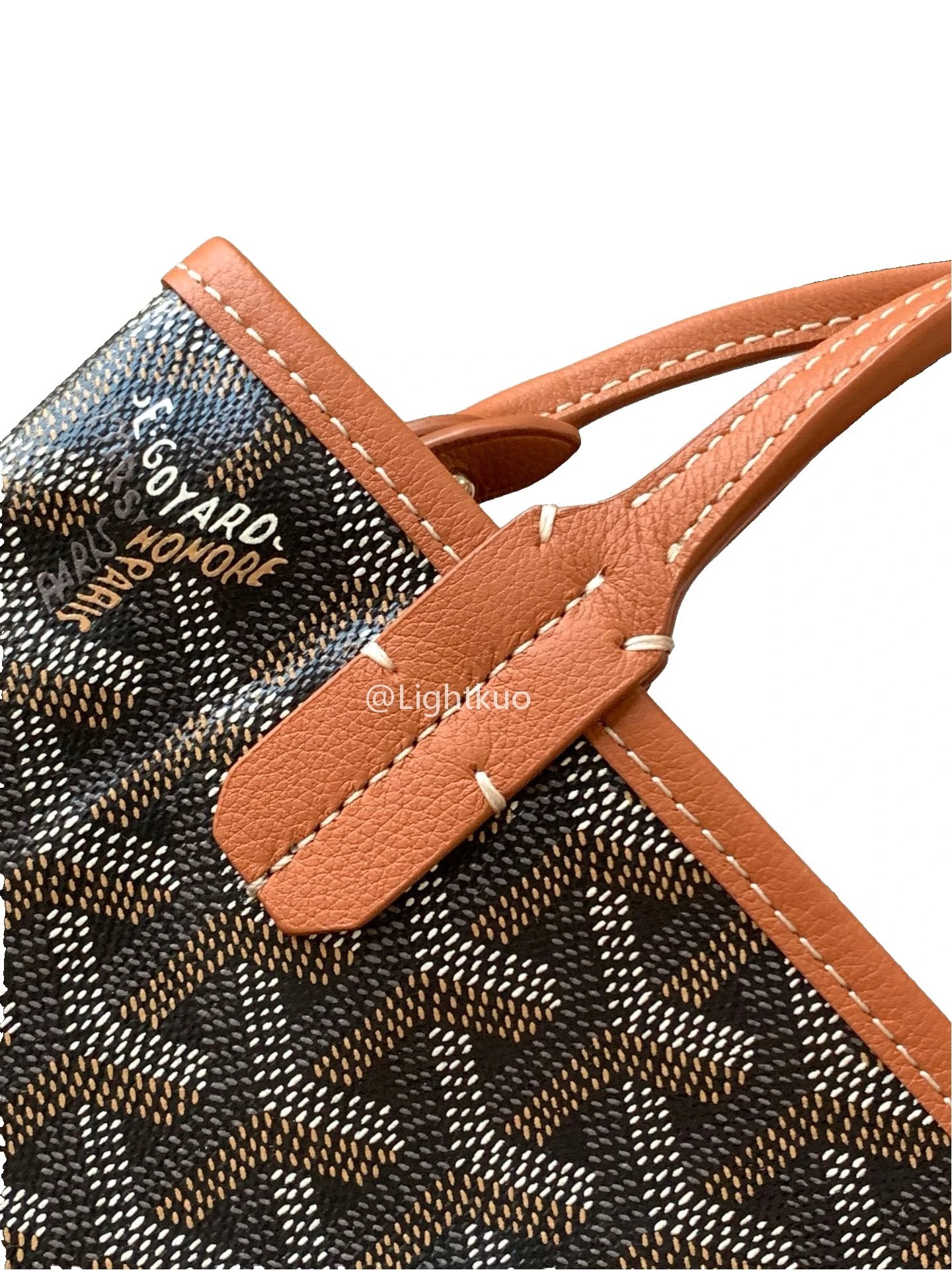 Goyard Poitiers Bag Black & Tan