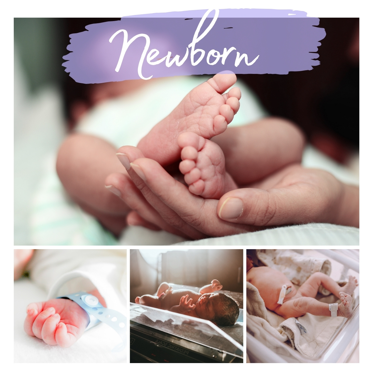 NewBorn