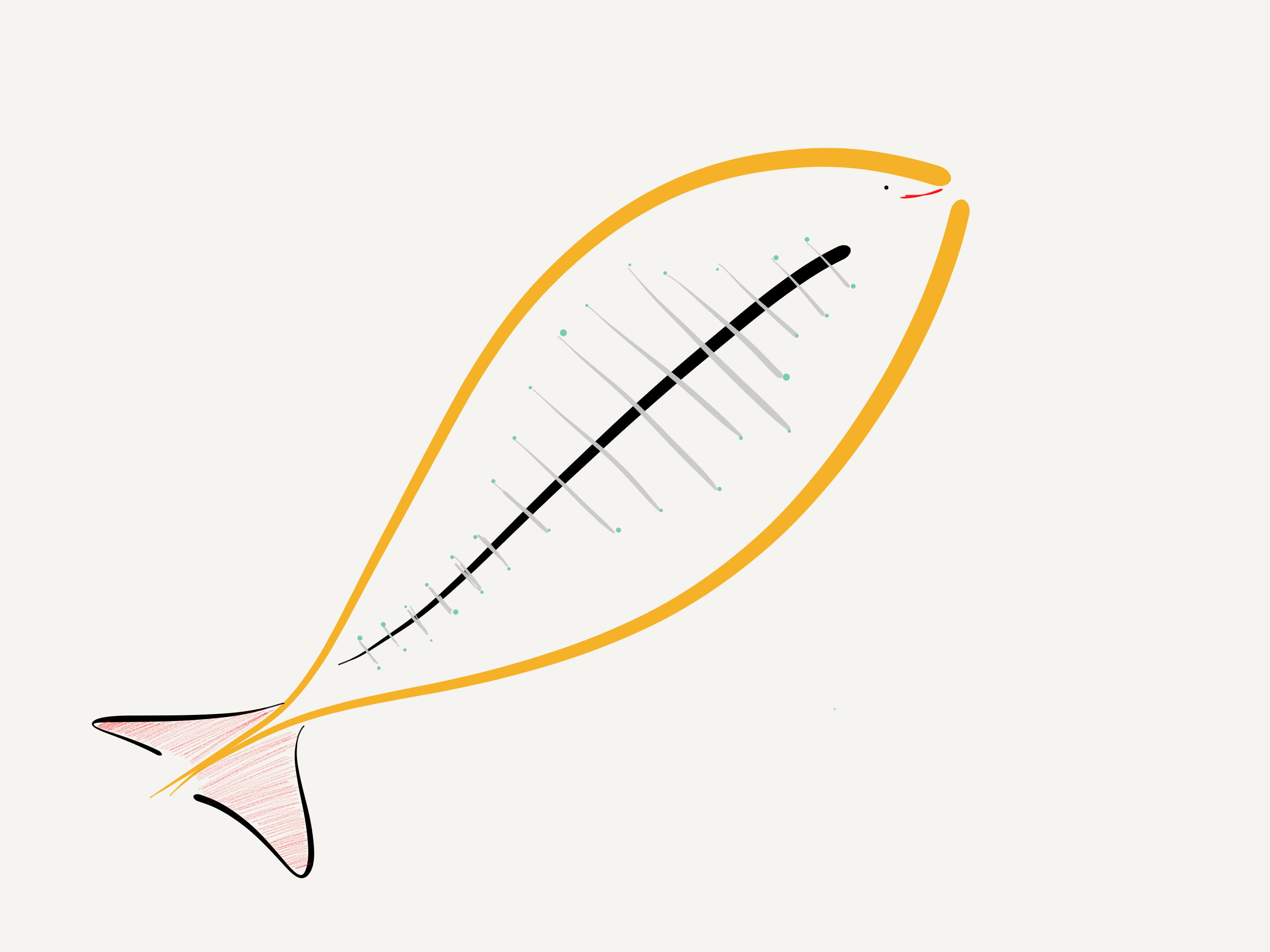 l’oiseau et le poisson