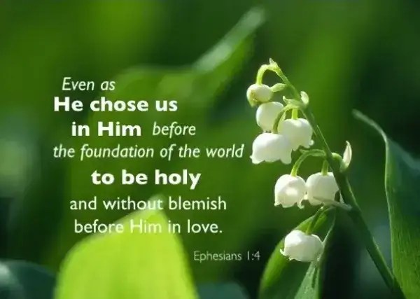 Image of Ephesians 1:4