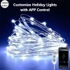 LED Copper Wire String Light