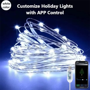 LED Copper Wire String Light