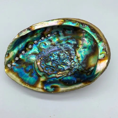 Abalone Shells – Light Ray Center