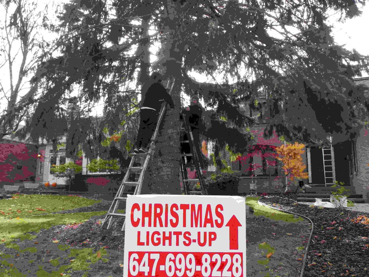 How to Perfectly Hang Christmas Lights in Hamilton This Holiday Season