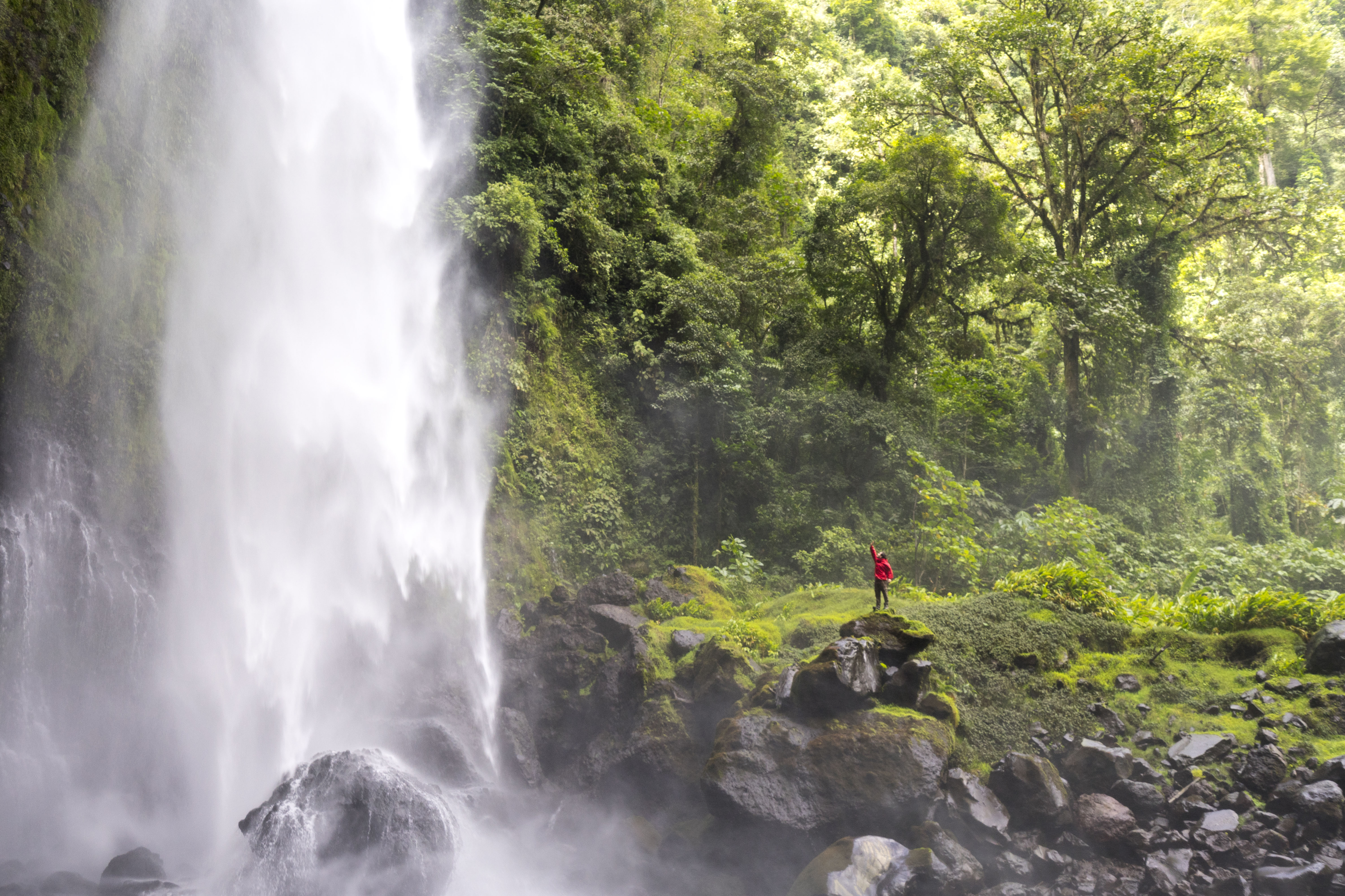 Foto de Javier Elizondo (@iscandersanders).