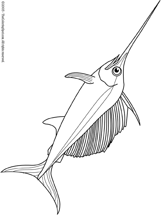 Swordfish coloring pages are a fun way for kids of all ages to develop creativity, focus, motor . Swordfish Coloring Page Audio Stories For Kids Free Coloring Pages Colouring Printables