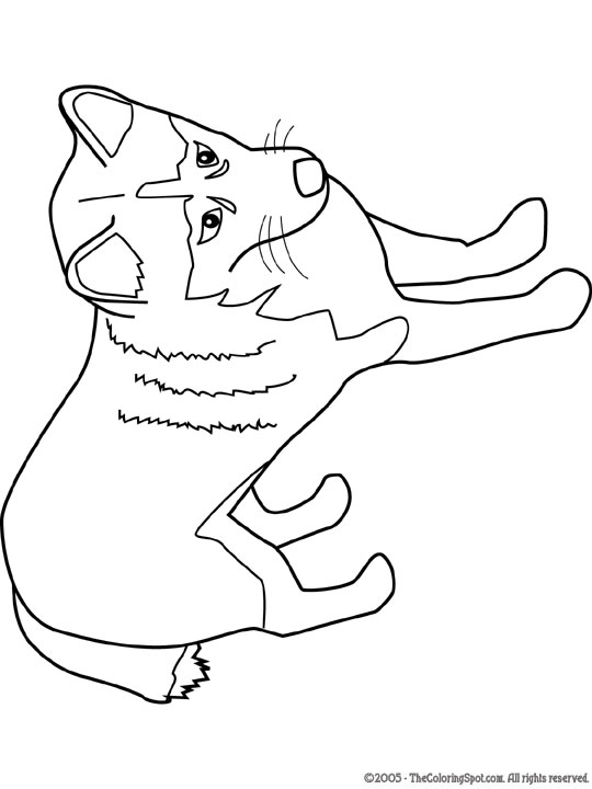alaskan husky coloring page audio stories for kids free coloring pages colouring printables