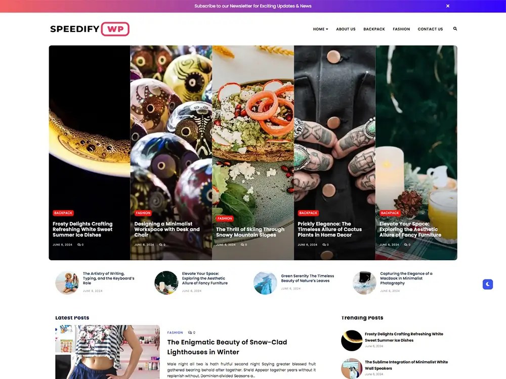 lightweight wordpress theme