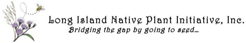 Long-Island-Native-Plant-Initiativelogo