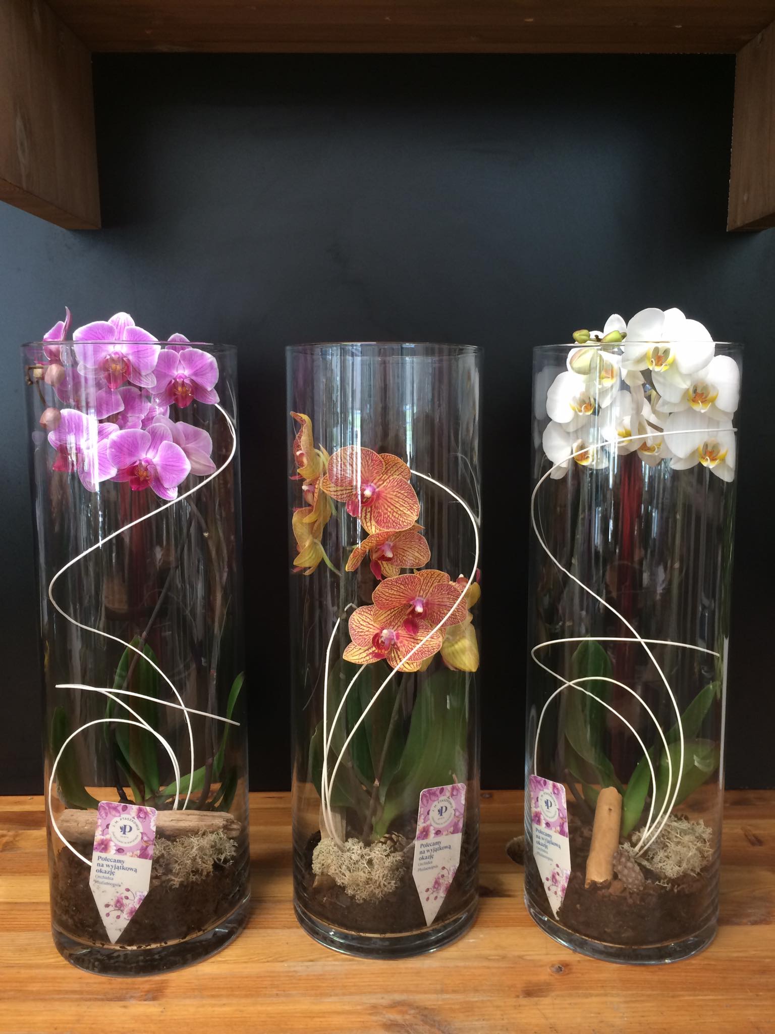 Orhideed klaasis