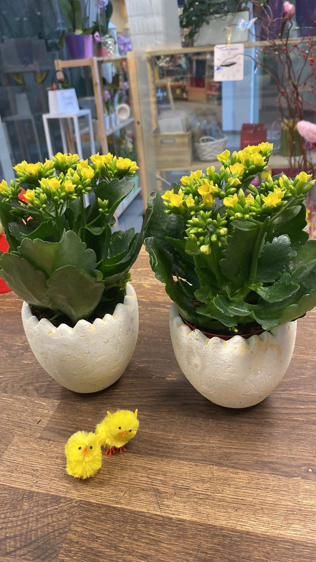 Kalanhoed munakoore kujulises keraamikas